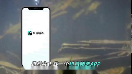 抖音和抖音精選有何區(qū)別？